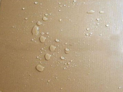 Coating Machine